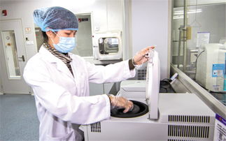 司法鑒定申請書格式是怎樣的