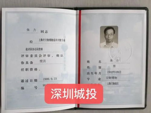 深圳城投拍賣公司,公正原則,權威專業責任制鑒定評審