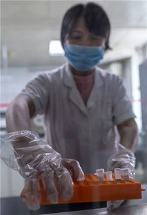 孩子是你的,我要和你結婚 情人逼他做親子鑒定,看到結果他臉綠了 老人