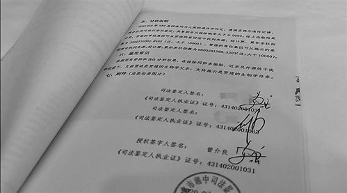 假名假指紋假血樣鑒定成 親子關系