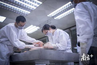 女法醫岳霞 用解剖刀與尸體交談,讓真相不因死亡而湮滅