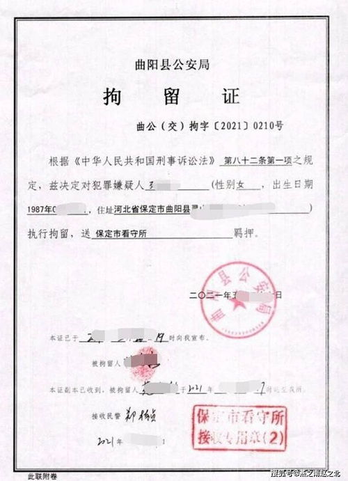 保定一女子開車撞人耍橫 我有全險 系醉駕還想找頂包,結局舒適