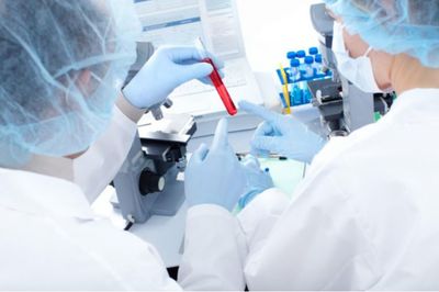 周口醫院親子鑒定服務詳解