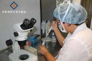 司法親子鑒定 法醫司法鑒定的關鍵環節