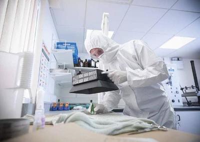 法醫究竟算不算醫生？成為法醫后要做哪些事？法醫司法鑒定的真相讓人難以置信