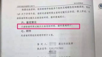 嬰兒疫苗注射后死亡事件引關注 兩份司法鑒定結果存差異，法醫解讀成關鍵