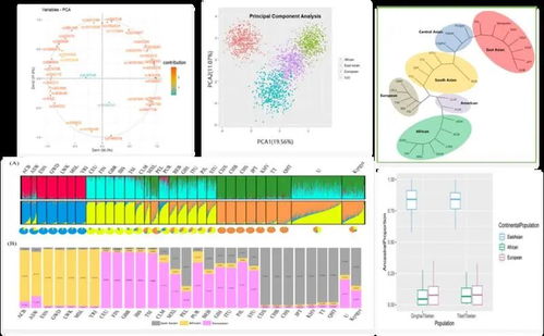 走近司法鑒定 高精技術如何助力案件偵破與司法公正